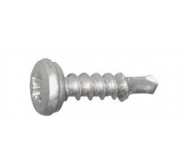 Kentekenplaatschroeven 5,0 mm x 16 mm - 20 stuks